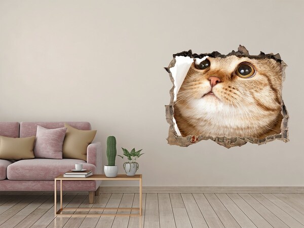 Autocollant à effet 3d trou Chat dans un trou dans le mur