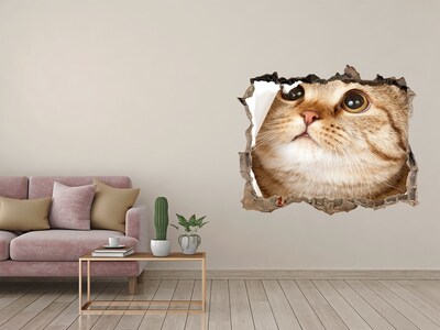 Autocollant à effet 3d trou Chat dans un trou dans le mur
