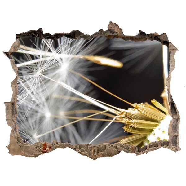 Sticker trou dans le mur Rêve de fleurs à travers un trou dans le mur