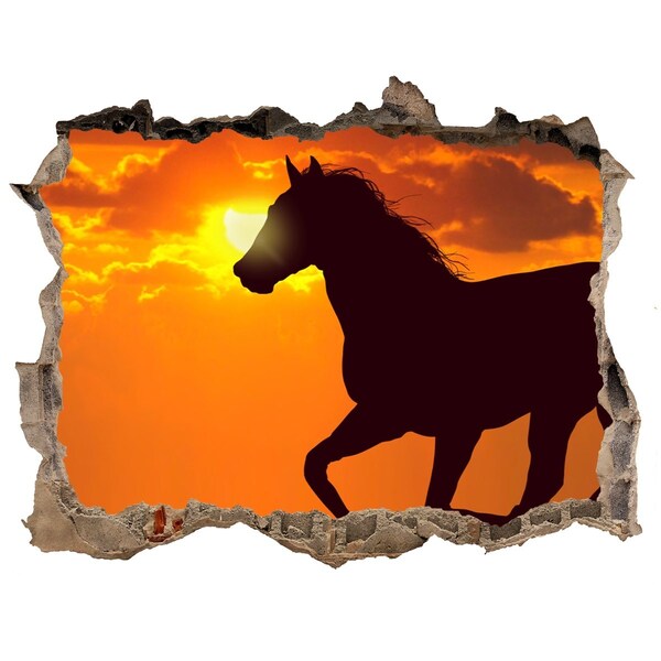 Sticker trou dans le mur Cheval au coucher du soleil