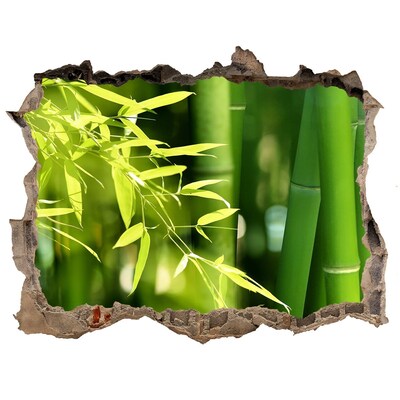 Sticker mural effet trou Forêt de bambous verts