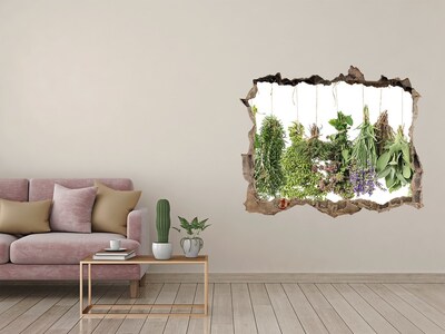 Autocollant mural trou Suspendre des herbes pierre