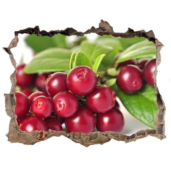 Autocollant mural trou Trou fruité dans le mur