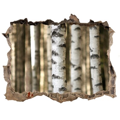 Autocollant à effet 3d trou Une oasis forestière en béton