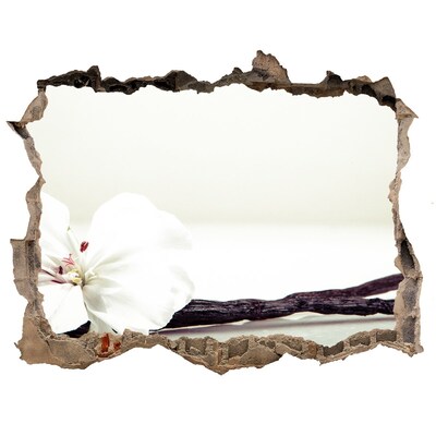 Autocollant à effet 3d trou Vue florale à travers le mur