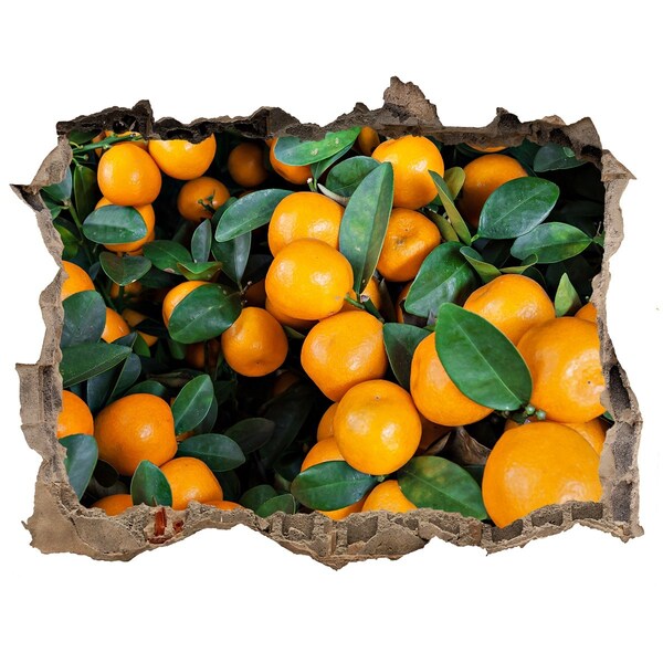 Sticker trou dans le mur Fruits dans l'orangerie