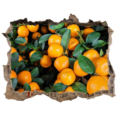 Sticker trou dans le mur Fruits dans l'orangerie