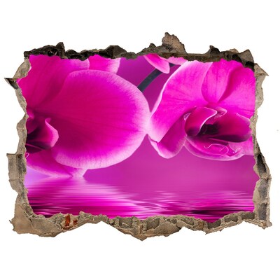 Autocollant à effet 3d trou Un paradis floral aux nuances de rose