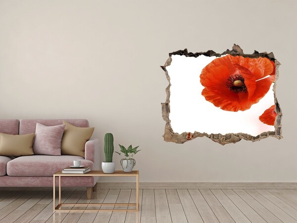 Autocollant à effet 3d trou Des coquelicots dans un trou dans le mur