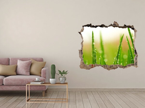 Sticker trou dans le mur Prairie verte parsemée de gouttes d'eau