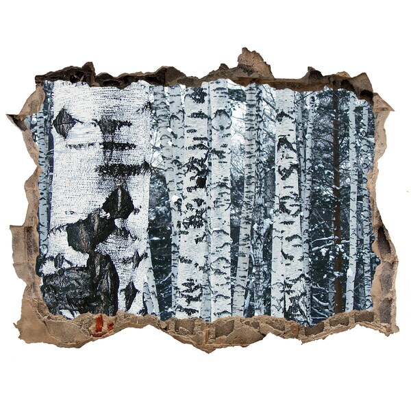 Sticker trou dans le mur forêt de bouleaux en hiver