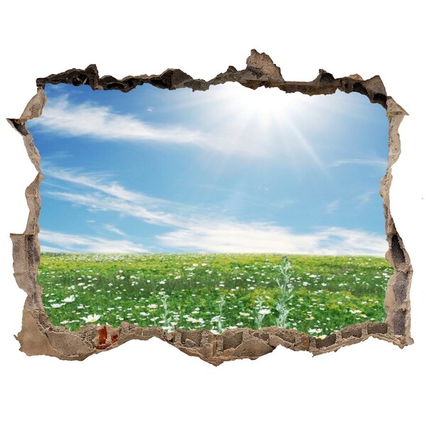 Autocollant mural trou Une prairie fleurie sous un ciel bleu