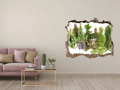 Sticker trou dans le mur jardin d'herbes aromatiques