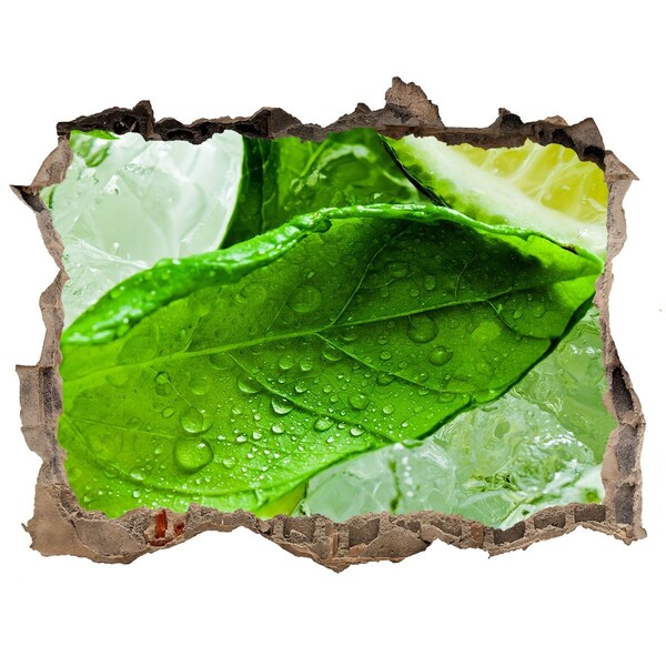 Autocollant à effet 3d trou Feuilles de menthe fraîche sur glace