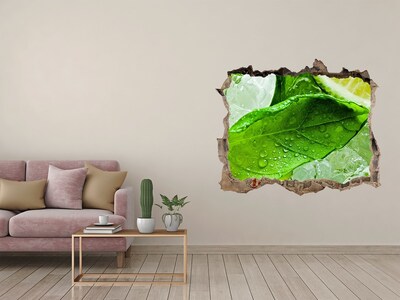 Autocollant à effet 3d trou Feuilles de menthe fraîche sur glace