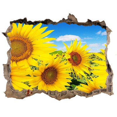 Sticker mural effet trou Tournesols pierre