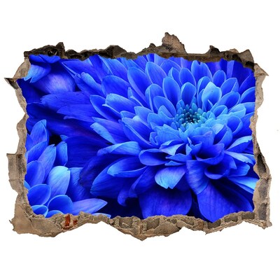 Sticker mural effet trou Aster bleu pierre