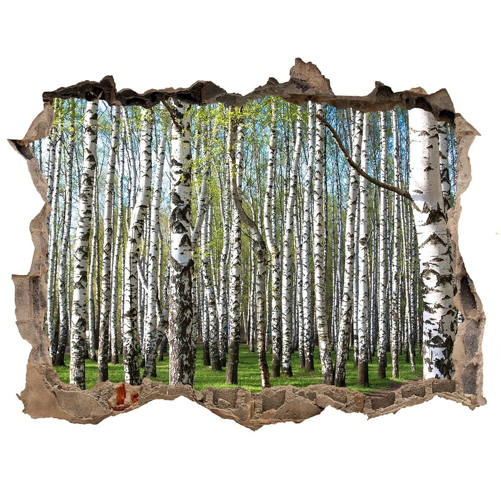 Sticker mural effet trou Forêt de bouleau pierre