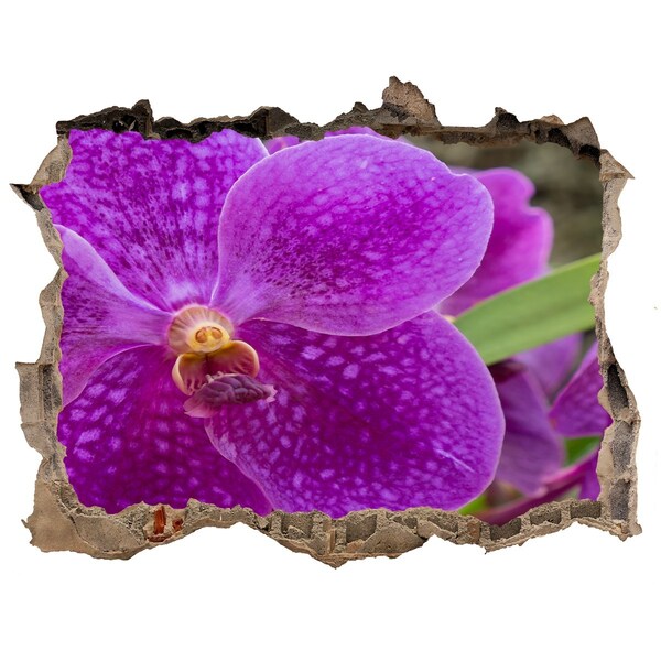 Autocollant à effet 3d trou Orchidée pourpre pierre