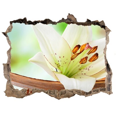 Autocollant mural trou Une oasis florale en béton