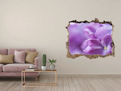 Sticker mural effet trou Fleurs de sureau pierre