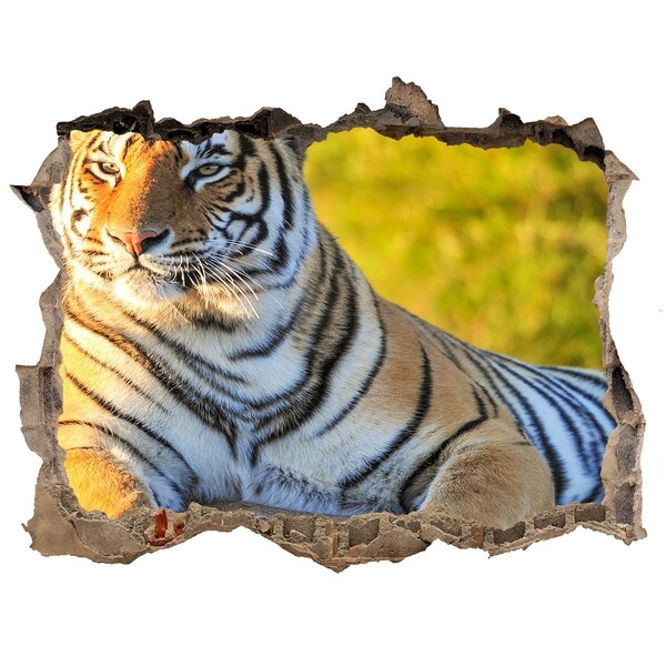 Sticker mural effet trou Le tigre dans son habitat naturel