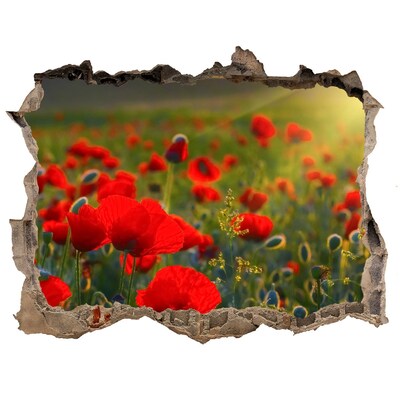 Sticker trou dans le mur Un paradis floral caché dans un mur