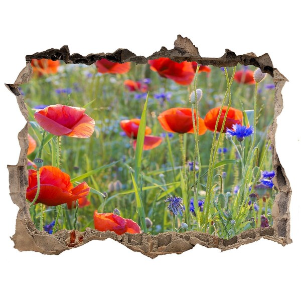 Sticker trou dans le mur Fleurs de terrain pierre