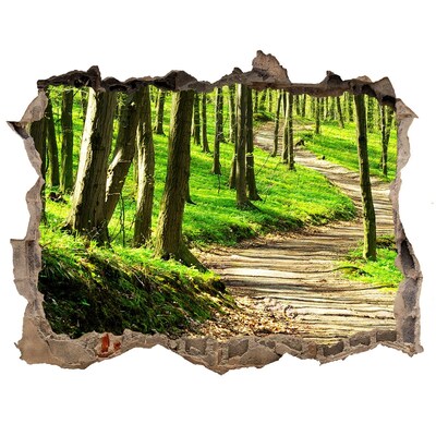 Sticker mural effet trou Sentier forestier au soleil