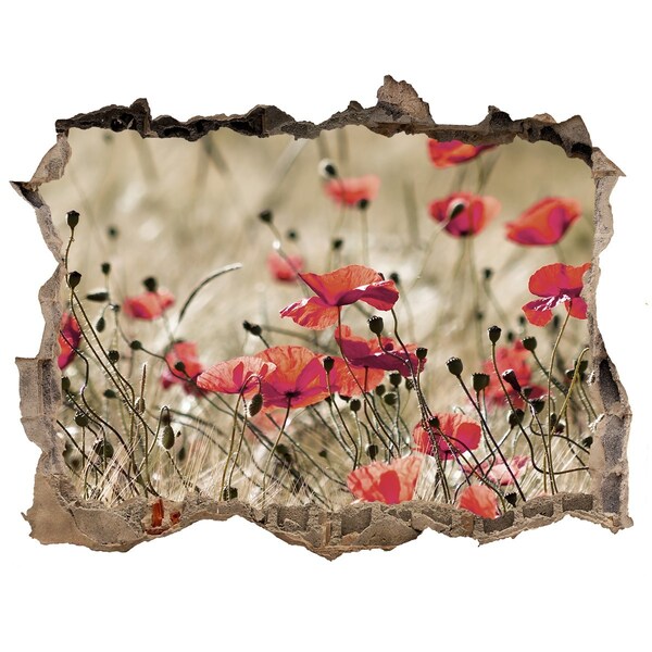 Sticker mural effet trou Les coquelicots fleurs des champs pierre