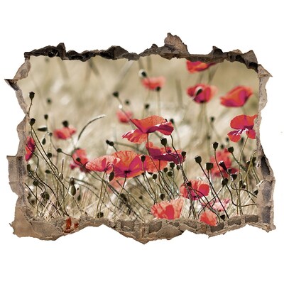 Sticker mural effet trou Un paradis floral au milieu du béton