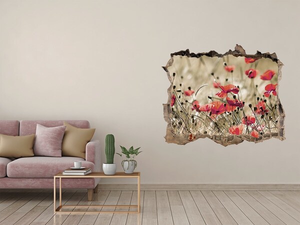Sticker mural effet trou Les coquelicots fleurs des champs pierre