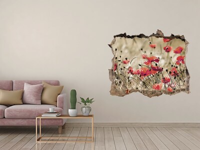 Sticker mural effet trou Les coquelicots fleurs des champs pierre