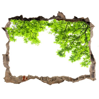 Autocollant à effet 3d trou Une oasis de verdure derrière le mur
