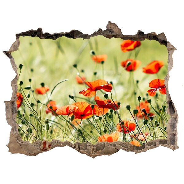Autocollant à effet 3d trou Coquelicots pierre