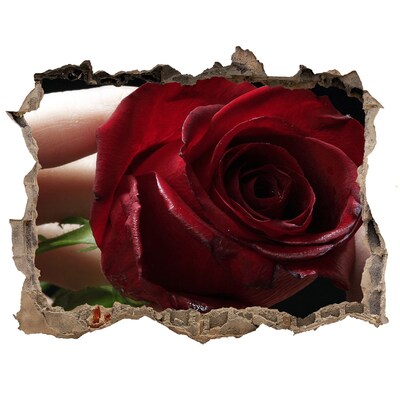 Sticker mural effet trou Une rose dans un mur en ruine