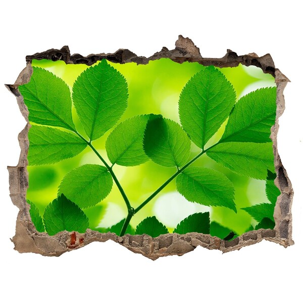 Autocollant à effet 3d trou Feuilles vertes pierre