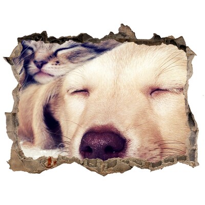 Autocollant mural trou Chien mignon dans un trou dans le mur