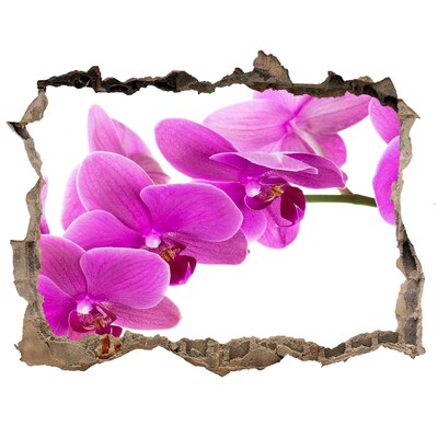 Autocollant à effet 3d trou Des orchidées à travers un trou dans le mur