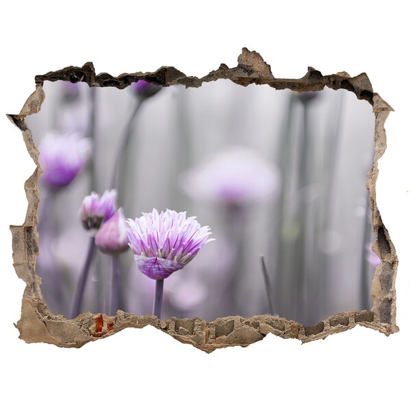 Sticker mural effet trou Fleurs de ciboulette pierre