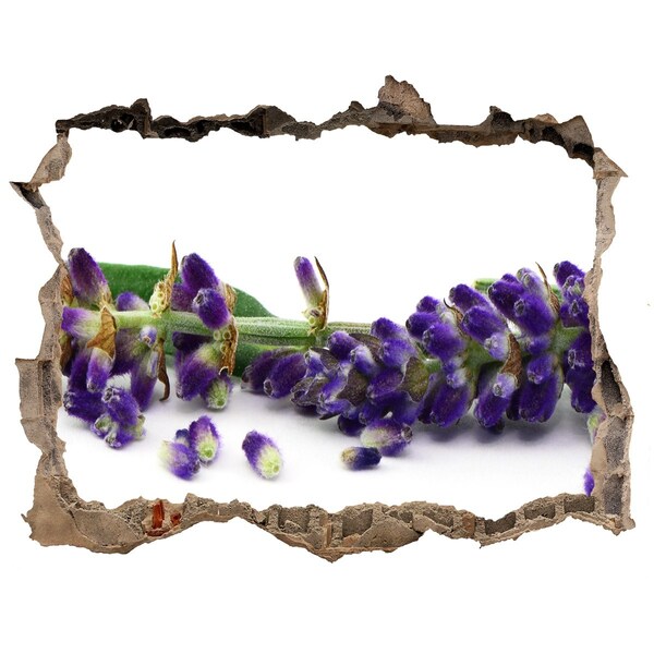 Sticker mural effet trou Lavande plantes pierre