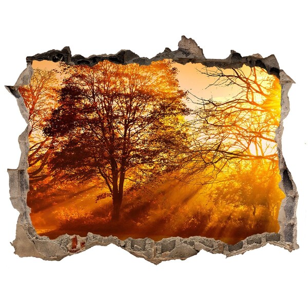 Sticker trou dans le mur Rayons dorés du soleil dans la forêt