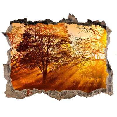 Sticker trou dans le mur Rayons dorés du soleil dans la forêt