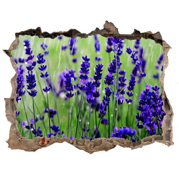 Autocollant à effet 3d trou Lavande plantes pierre