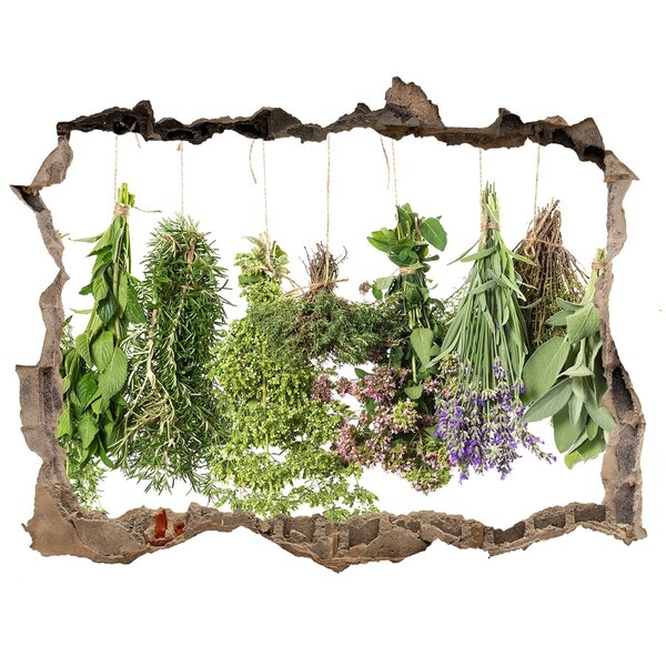 Autocollant mural trou Jardin d'herbes aromatiques dans le mur
