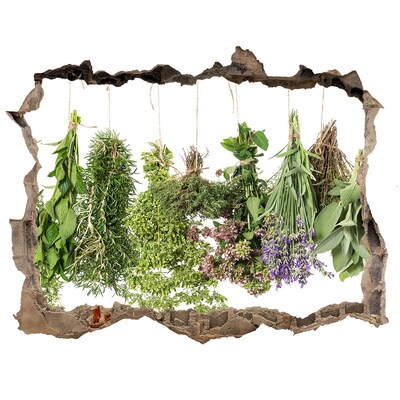 Autocollant mural trou Jardin d'herbes aromatiques dans le mur