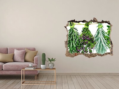 Sticker mural effet trou Jardin d'herbes aromatiques caché dans un mur