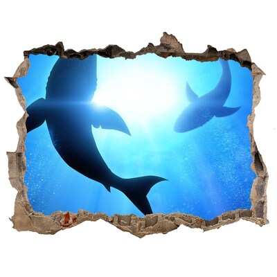 Sticker mural effet trou Deux requins pierre