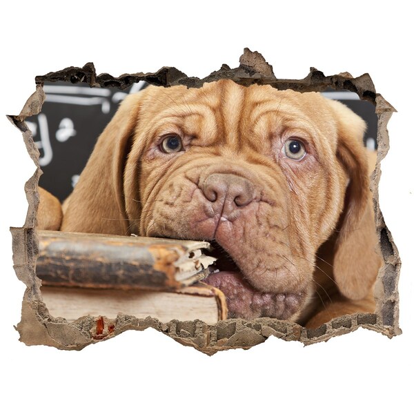 Autocollant à effet 3d trou Un adorable chiot parmi les livres