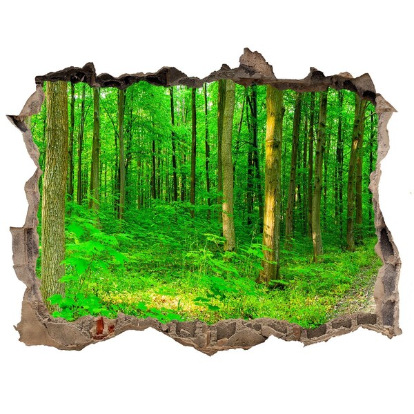 Sticker trou dans le mur Arbres dans la forêt pierre
